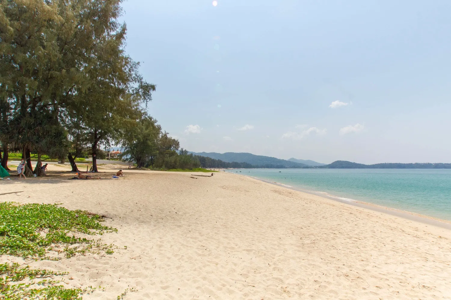 Property image - full photo 61