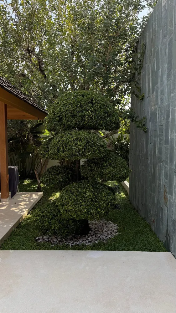Property image - full photo 41
