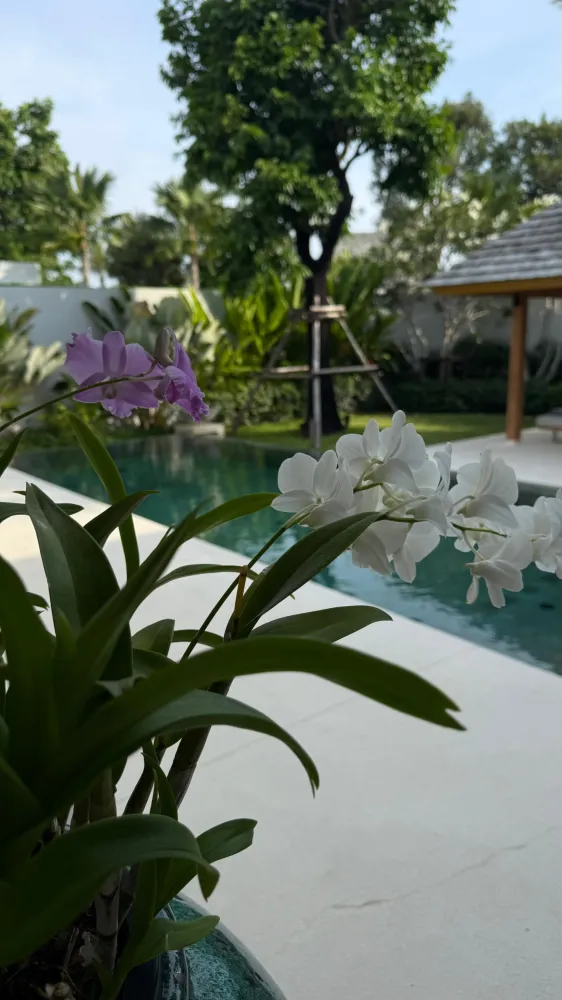 Property image - full photo 39