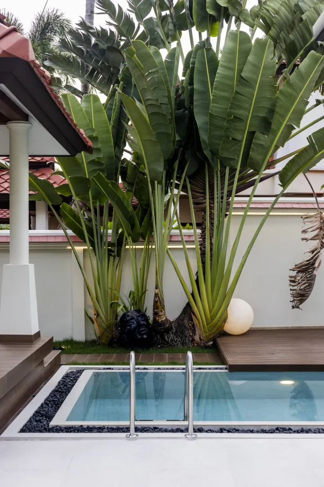 Property image - full photo 51