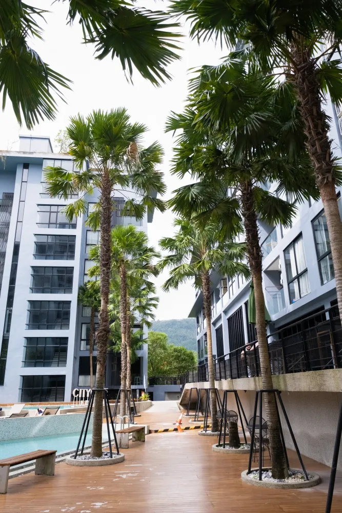Property image - full photo 19