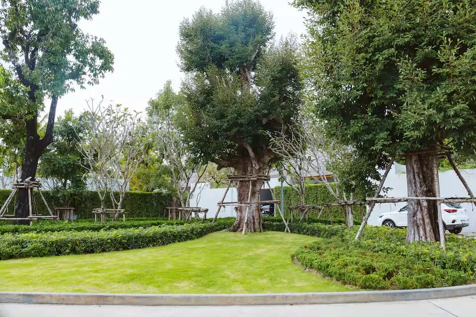 Property image - full photo 39