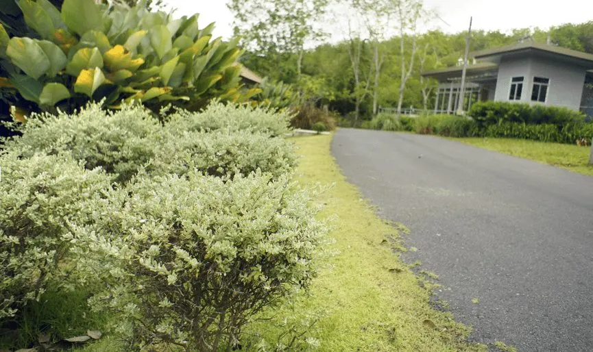 Property image - full photo 9