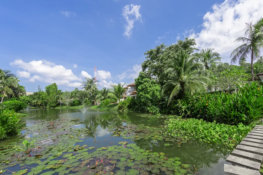 Property image - full photo 39