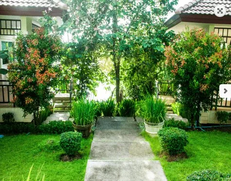 Property image - full photo 16