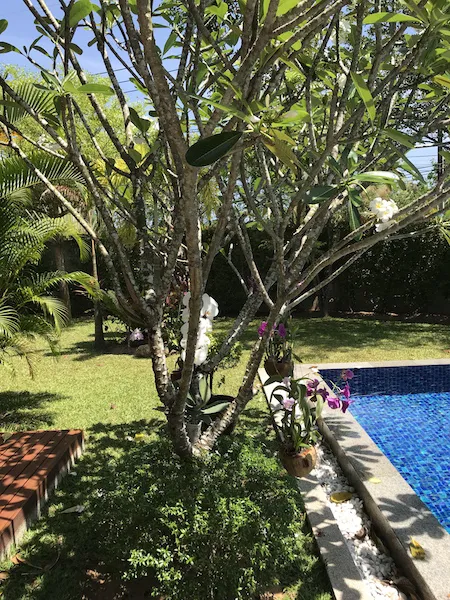 Property image - full photo 43