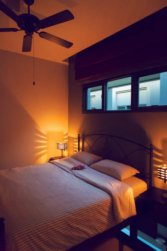 Property image - full photo 8