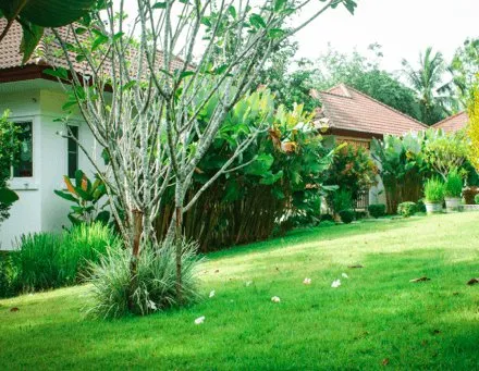 Property image - full photo 18