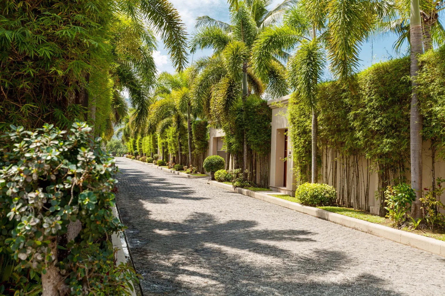Property image - full photo 19