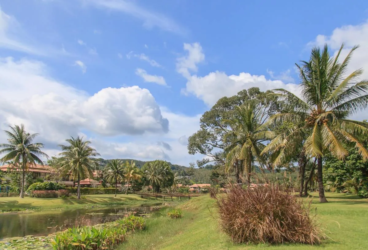Property image - full photo 74