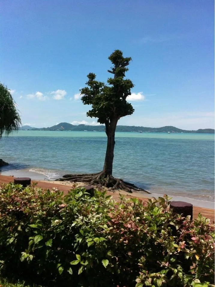 Property image - full photo 14