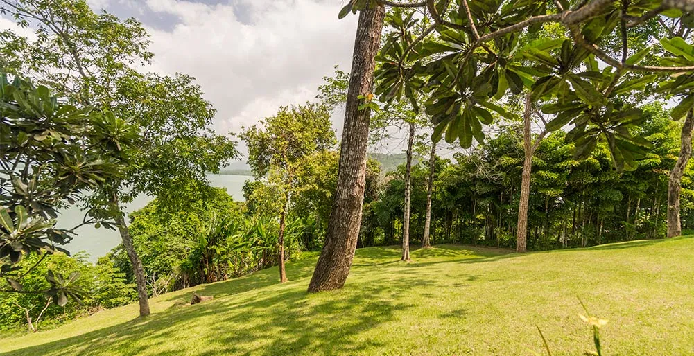 Property image - full photo 15