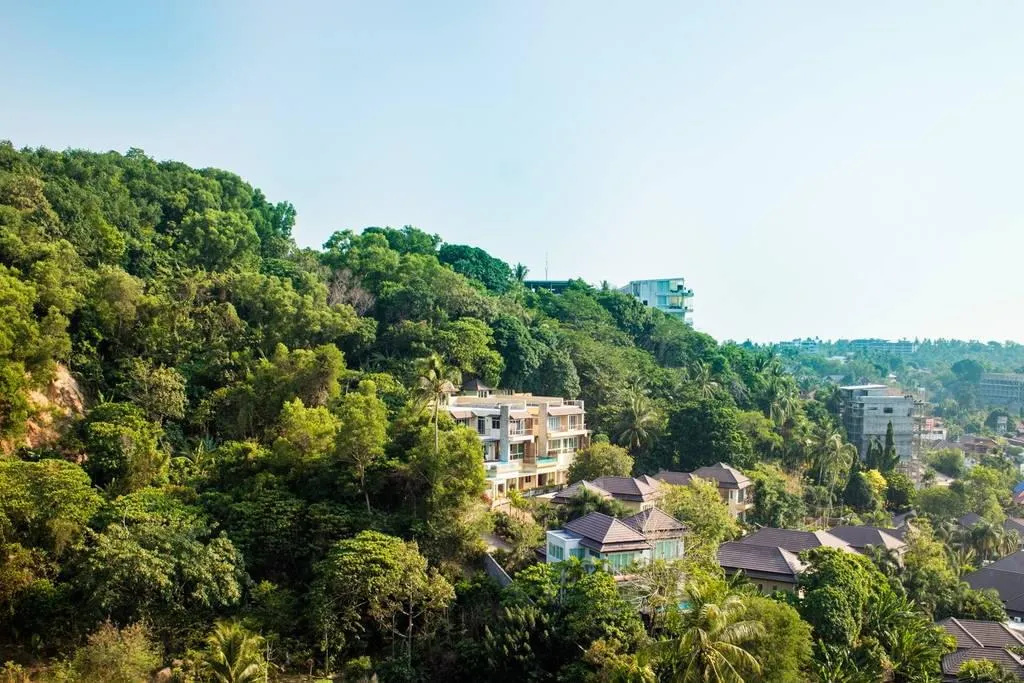 Property image - full photo 14