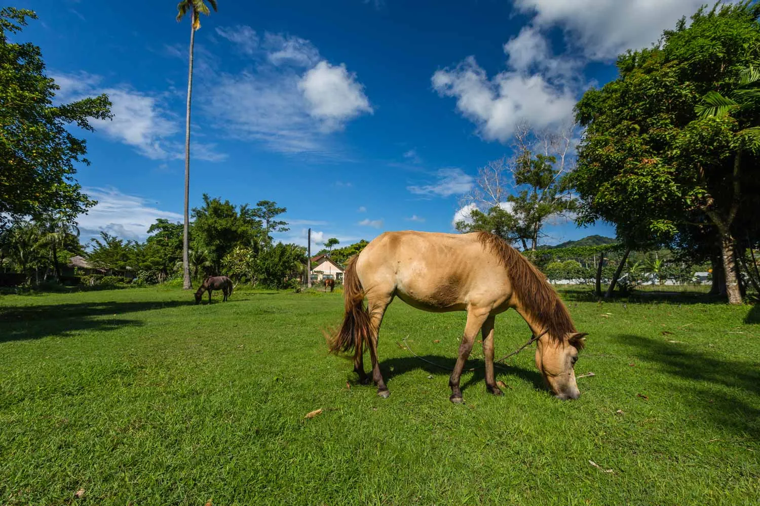 Property image - full photo 16