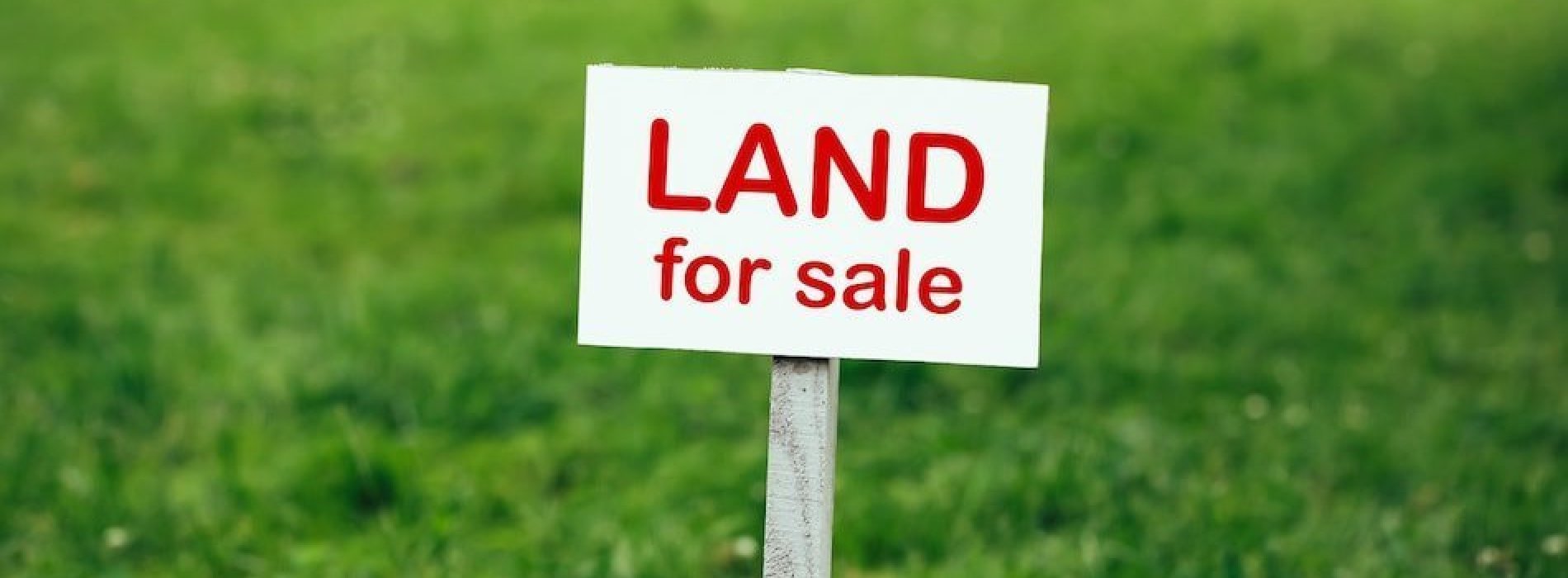 Land for sale in Phuket