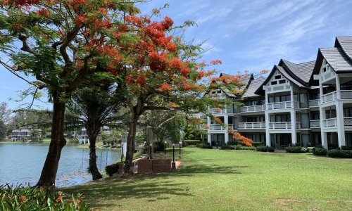 Алламанда 1 