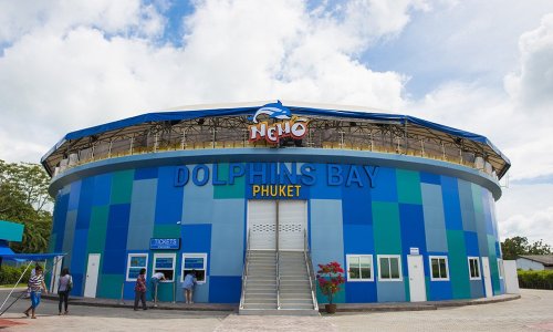 Dolphin Show at Nemo Dolphins Bay — 15
