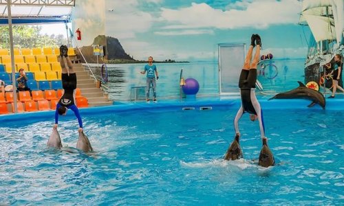 Dolphin Show at Nemo Dolphins Bay — 16