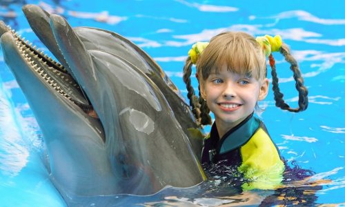 Swimming with Dolphins — 1