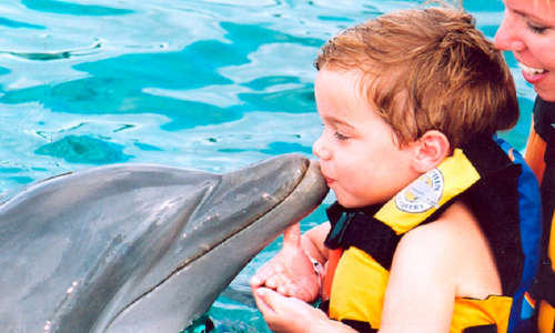 Swimming with Dolphins — 2