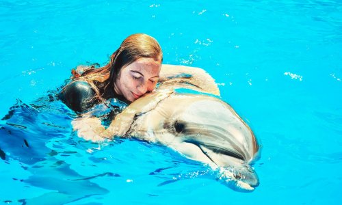 Swimming with Dolphins — 8