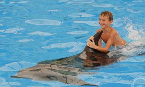 Swimming with Dolphins — 5