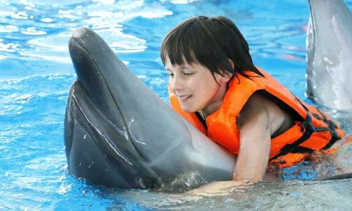 Swimming with Dolphins — 4