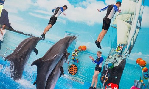 Swimming with Dolphins — 9