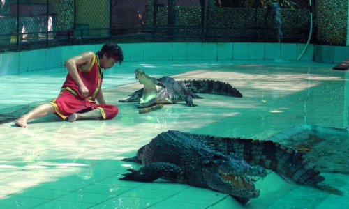 Phuket Zoo — 6