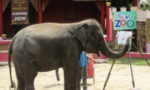 Phuket Zoo — 9