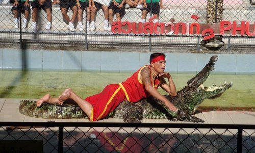 Phuket Zoo — 10