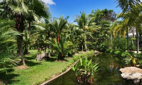 Phuket Botanic Garden — 5