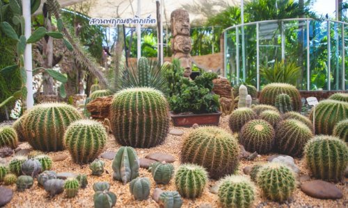 Phuket Botanic Garden — 14