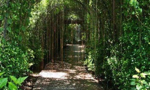 Phuket Botanic Garden — 8