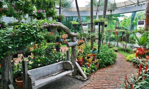 Phuket Botanic Garden — 7
