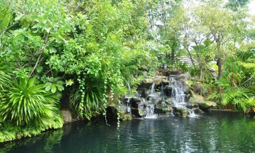 Phuket Botanic Garden — 11