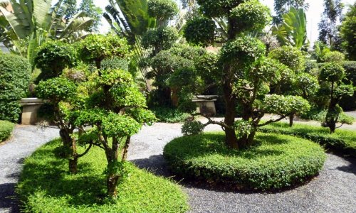 Phuket Botanic Garden — 13