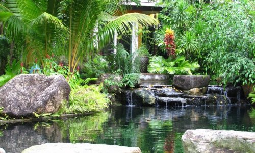 Phuket Botanic Garden — 12