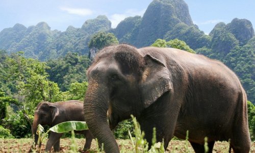 Khao Lak Day Trip — 5