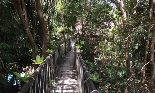 Khao Lak Day Trip — 3
