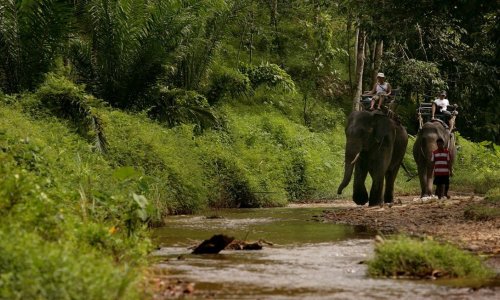 Khao Lak Day Trip — 2