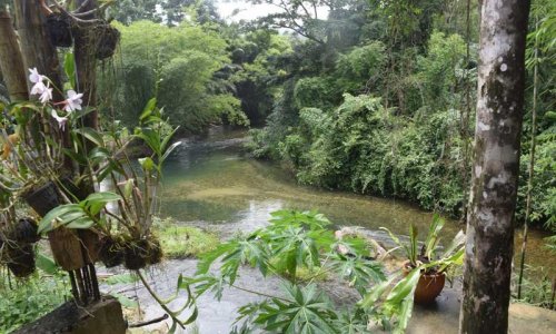 Khao Lak Day Trip — 15