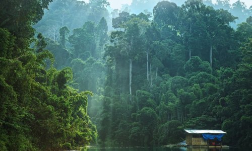 Khao Sok National Park — 11