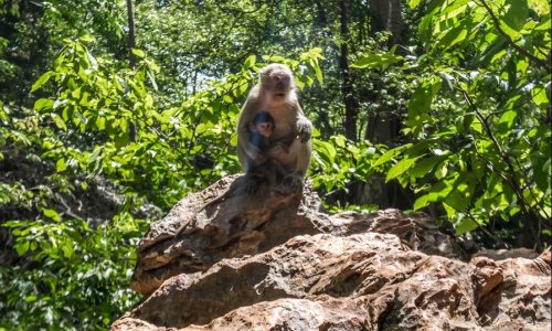 Khao Sok National Park — 7