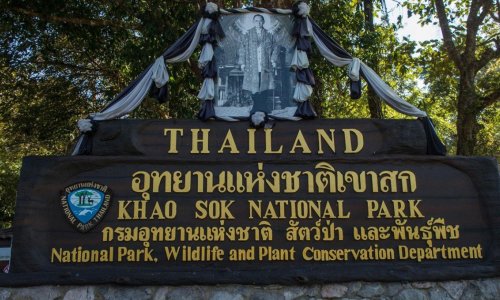 Khao Sok National Park — 15