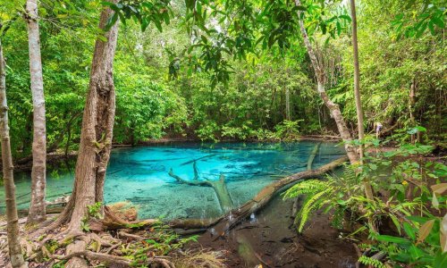 Krabi Province and the Emerald Pool — 8