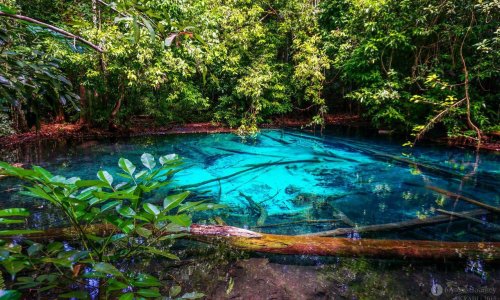 Krabi Province and the Emerald Pool — 1