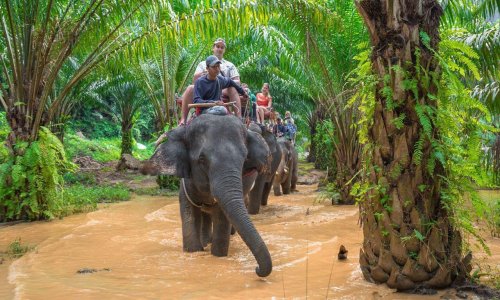 Krabi Province and the Emerald Pool — 7