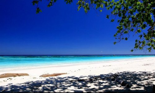 Similan Islands Day Trip — Standard — 8