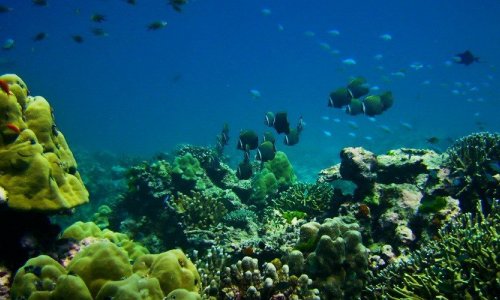 Similan Islands Day Trip — Standard — 6